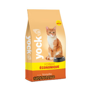Yock Chat Eco