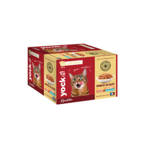 Yock Emincé 4 parfums 100 gr x 24