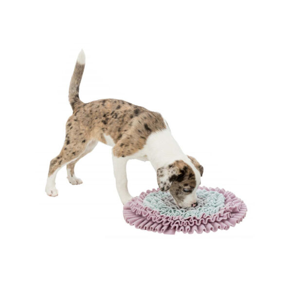 Tapis A Renifler – Image 2