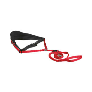 Ceinture Ventrale Avec Laisse