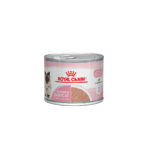 Royal Canin Babycat Mousse 195 Gr