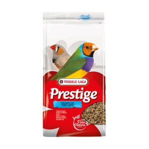 Prestige Oiseaux Exotiques
