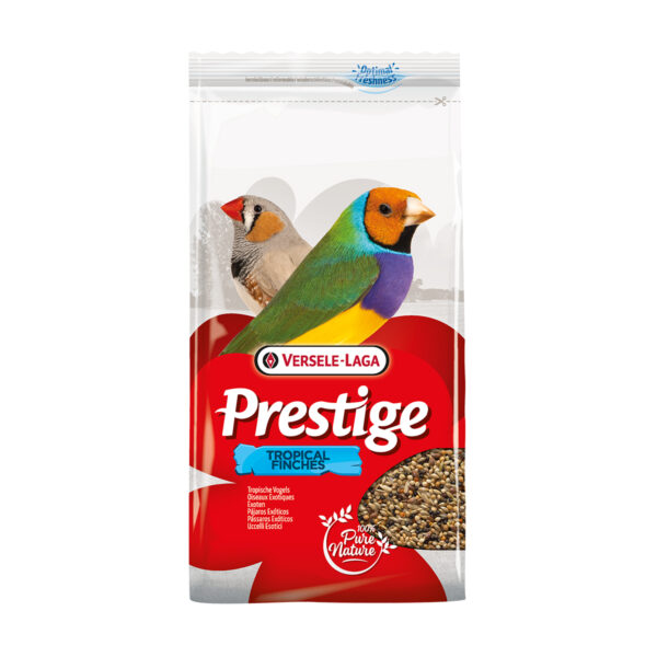 Prestige Oiseaux Exotiques