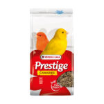 Prestige Canari