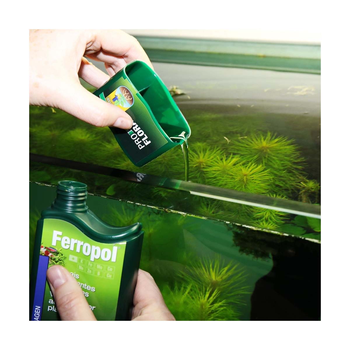 Engrais liquide pour plantes d'aquarium JBL Ferropol