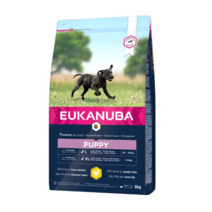 Eukanuba Chiot Grande Race Poulet