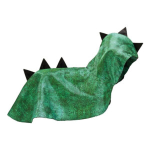 Deguisement Chien Dragon