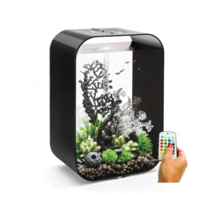 Set de galets biorb pour aquarium : noirs Biorb