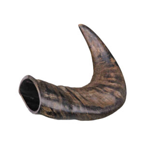 Corne de buffle medium
