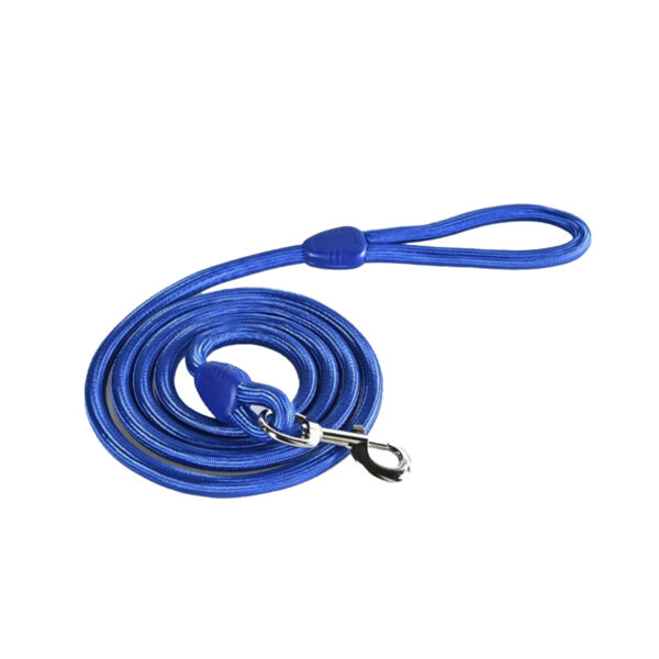 Longe corde bleu 2 m