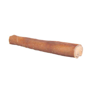 Nerf de bœuf, séché, 12 cm