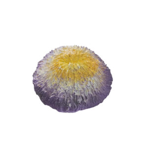 Décoration d’aquarium Corail D9 x 4.5 cm