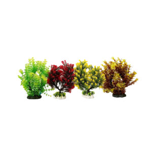 Décor Plante