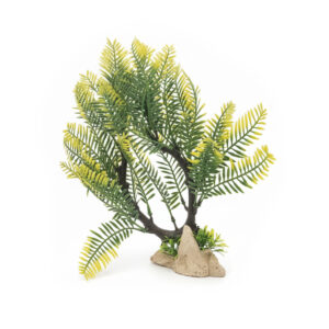Décor Plante