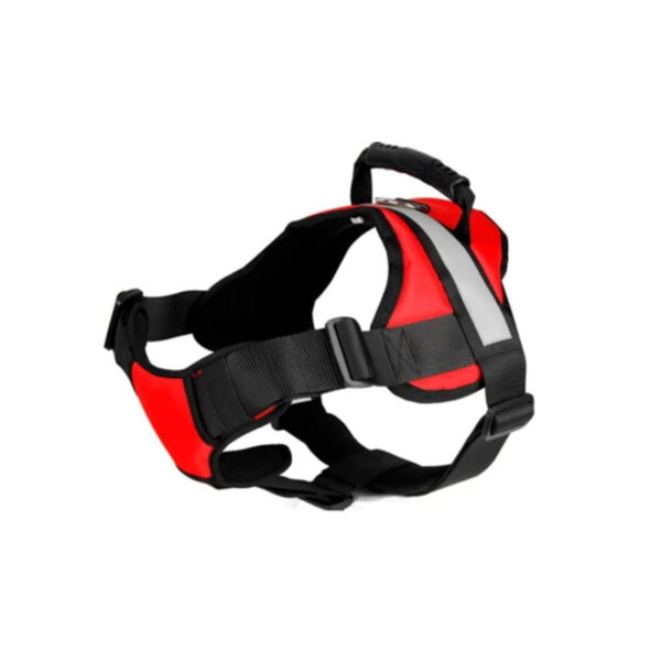Harnais Confort 55-60 cm