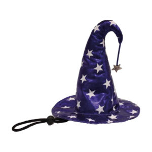 CHAPEAU TRICKY WHIZARD D25