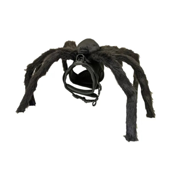 HARNAIS FRIGHT SPIDER M