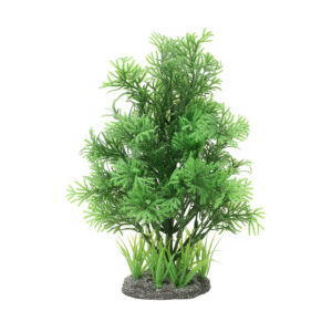 DECOR PLANTE 20*30