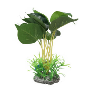 DECOR PLANTE 15*24