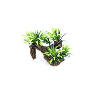 Décor Plante