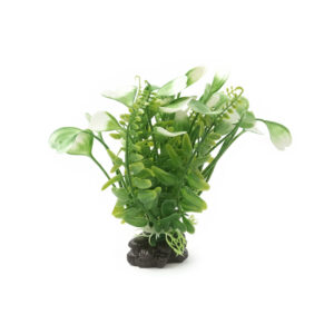Décor Plante