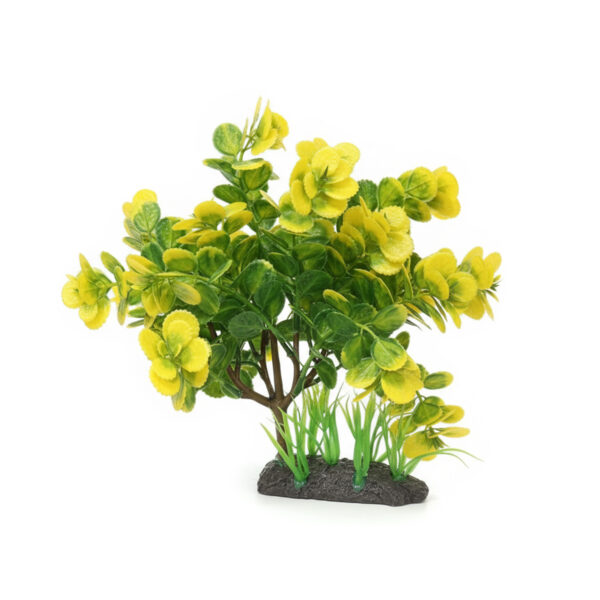 Décor Plante