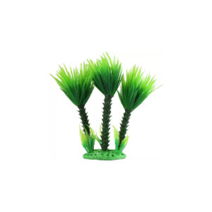 Décor Plante