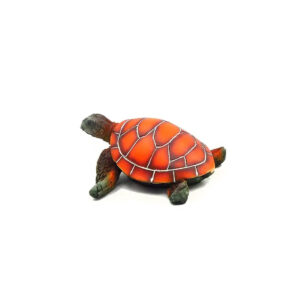 Décor Tortue