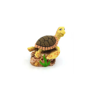 Décor Petite Tortue