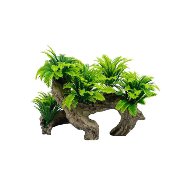 Décor Plante