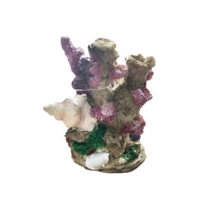 Décor corail