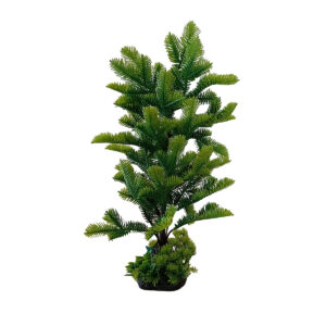 Décor Plante
