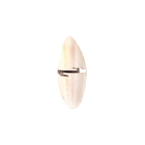 OS DE SEICHE 15*6 CM