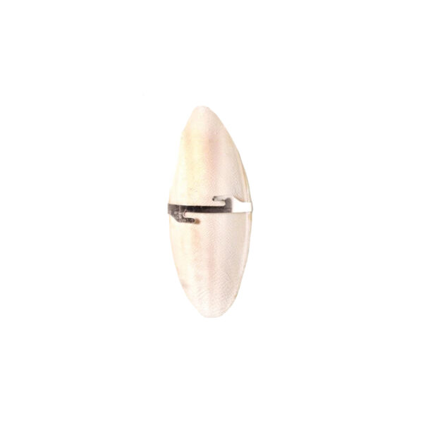 OS DE SEICHE 15*6 CM