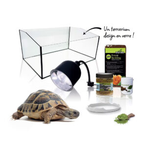 KIT TORTUE TERRA 116*52*33