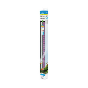 LED CLE100 NOIR CIANO