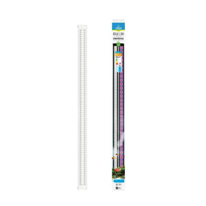 LED CLE120 BLANC CIANO