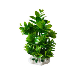 DECOR PLANTE