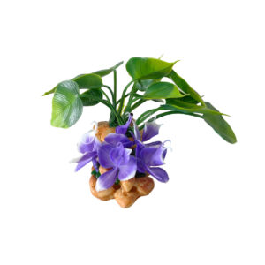 DECOR PLANTE H14