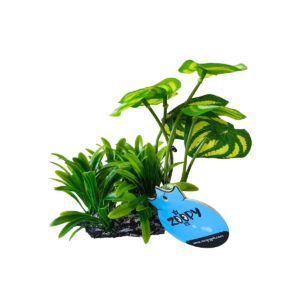 DECOR PLANTE H16