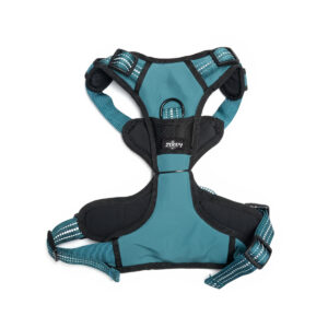 HARNAIS CONFORT L BLEU VERT