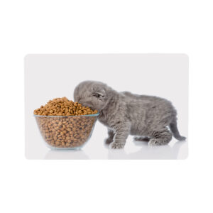 SET DE TABLE CHAT 56*37 CM