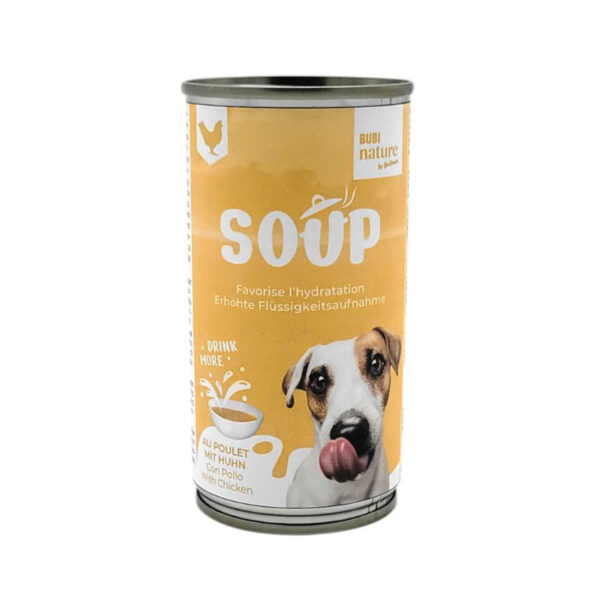 SOUPE DE POULET 185G