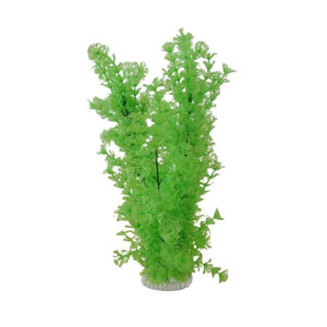 DECOR PLANTE 20*20*38