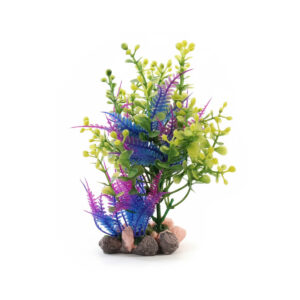 Décor Plante