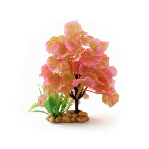 Décor Plante