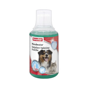 Solution haleine fraîche pour chien et chat