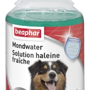 Solution haleine fraîche pour chien et chat