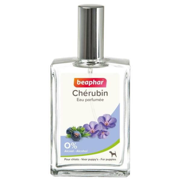 Eau Parfumée Chérubin pour Chiot