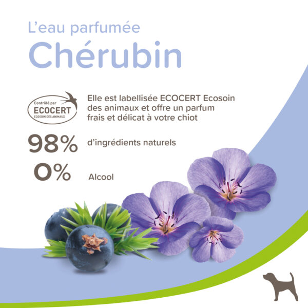 Eau Parfumée Chérubin pour Chiot – Image 2